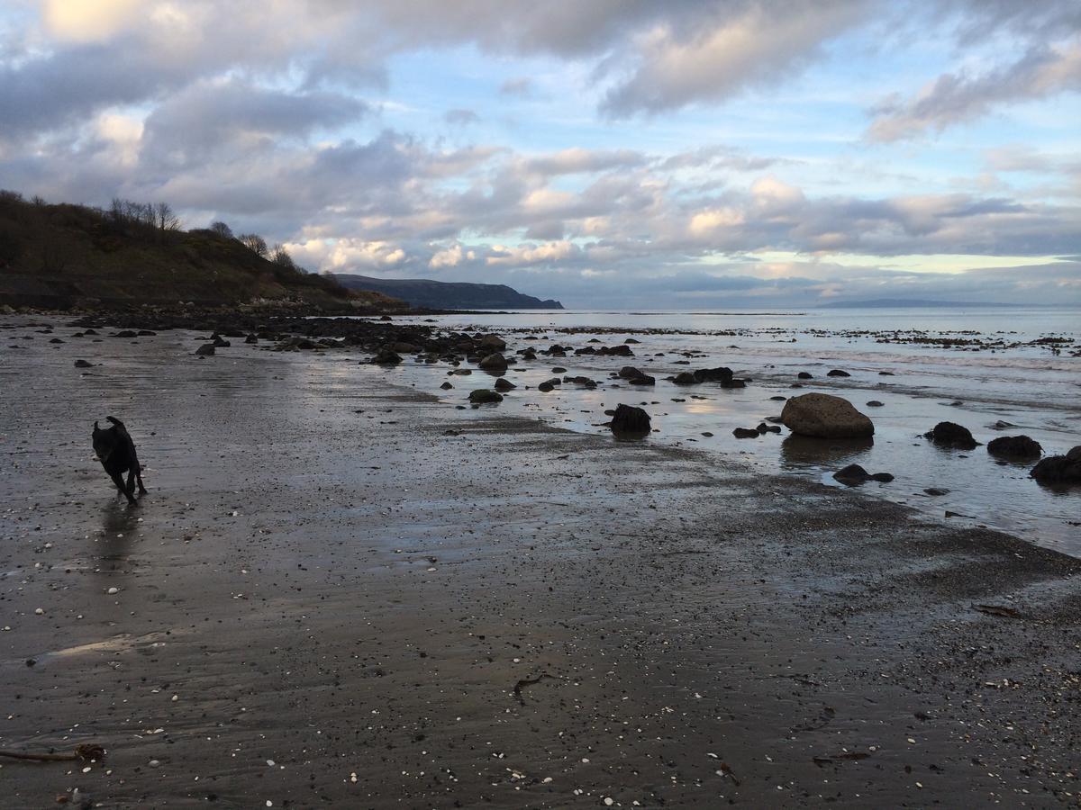 Josies Place At Waters Edge Self Catering Apartment Glenarm Eksteriør bilde